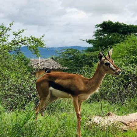Oldonyo Orok Lodge Kajiado Ngoại thất bức ảnh