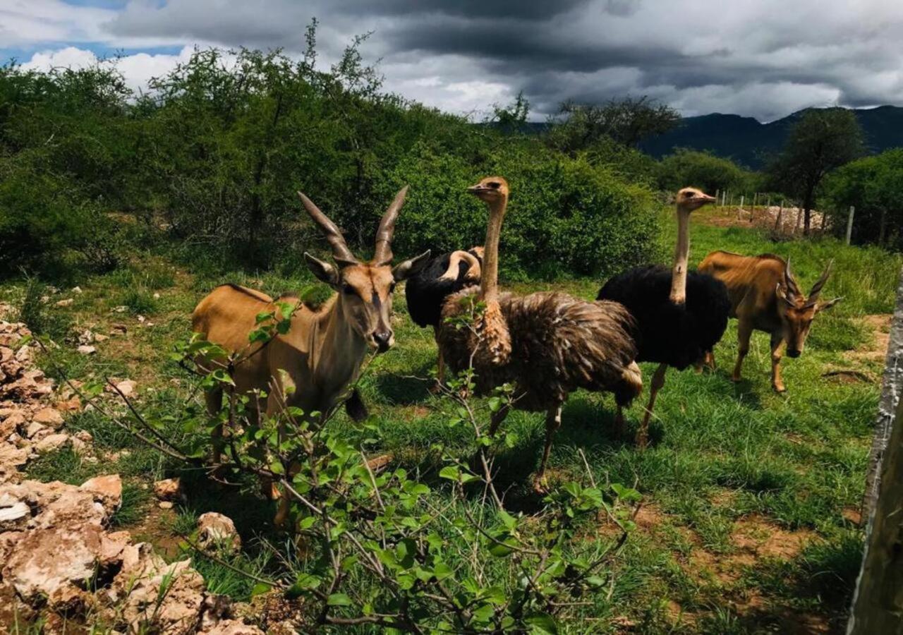 Oldonyo Orok Lodge Kajiado Ngoại thất bức ảnh