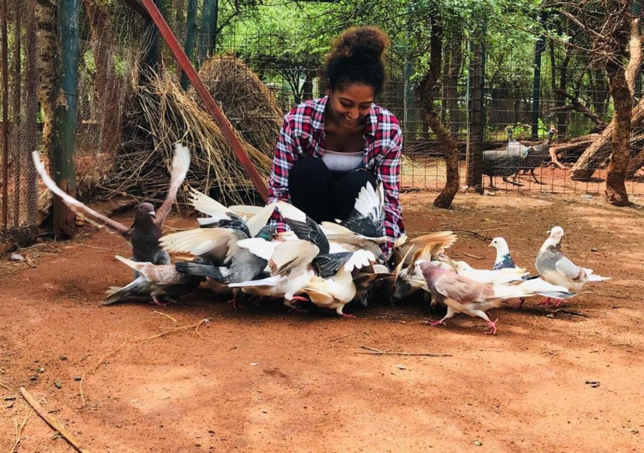 Oldonyo Orok Lodge Kajiado Ngoại thất bức ảnh