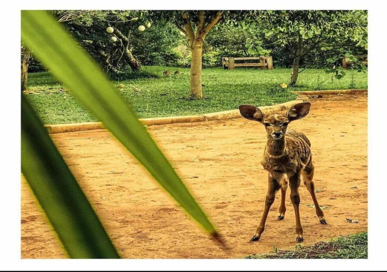 Oldonyo Orok Lodge Kajiado Ngoại thất bức ảnh