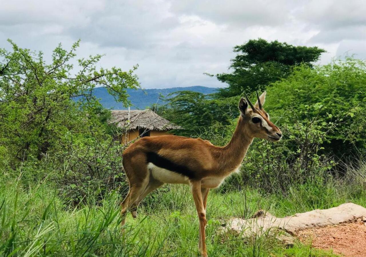 Oldonyo Orok Lodge Kajiado Ngoại thất bức ảnh