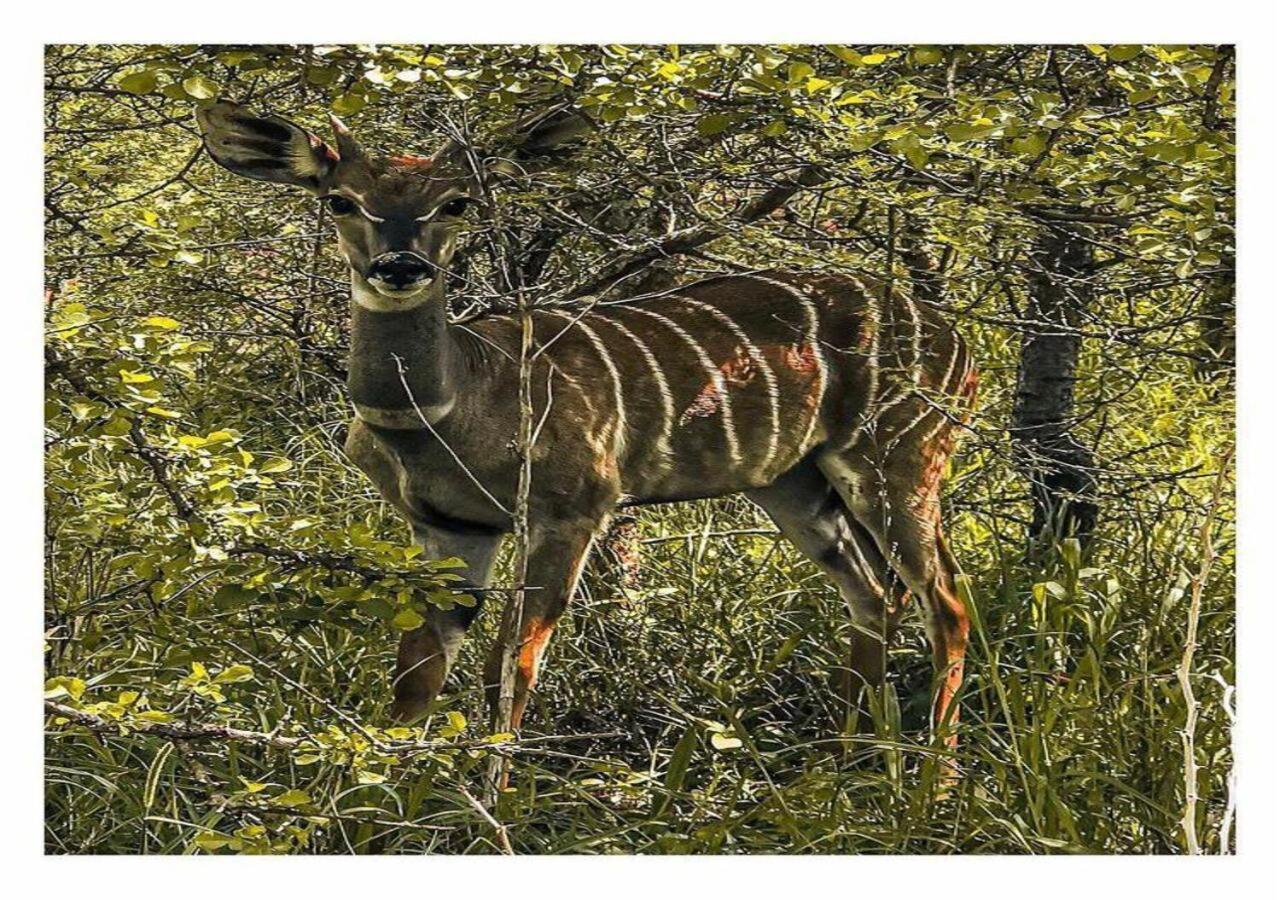 Oldonyo Orok Lodge Kajiado Ngoại thất bức ảnh