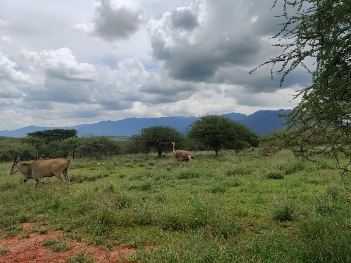 Oldonyo Orok Lodge Kajiado Ngoại thất bức ảnh