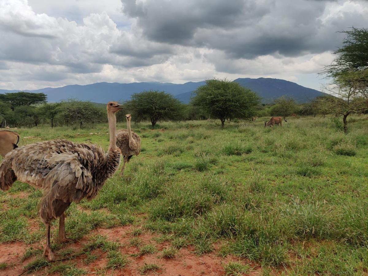 Oldonyo Orok Lodge Kajiado Ngoại thất bức ảnh