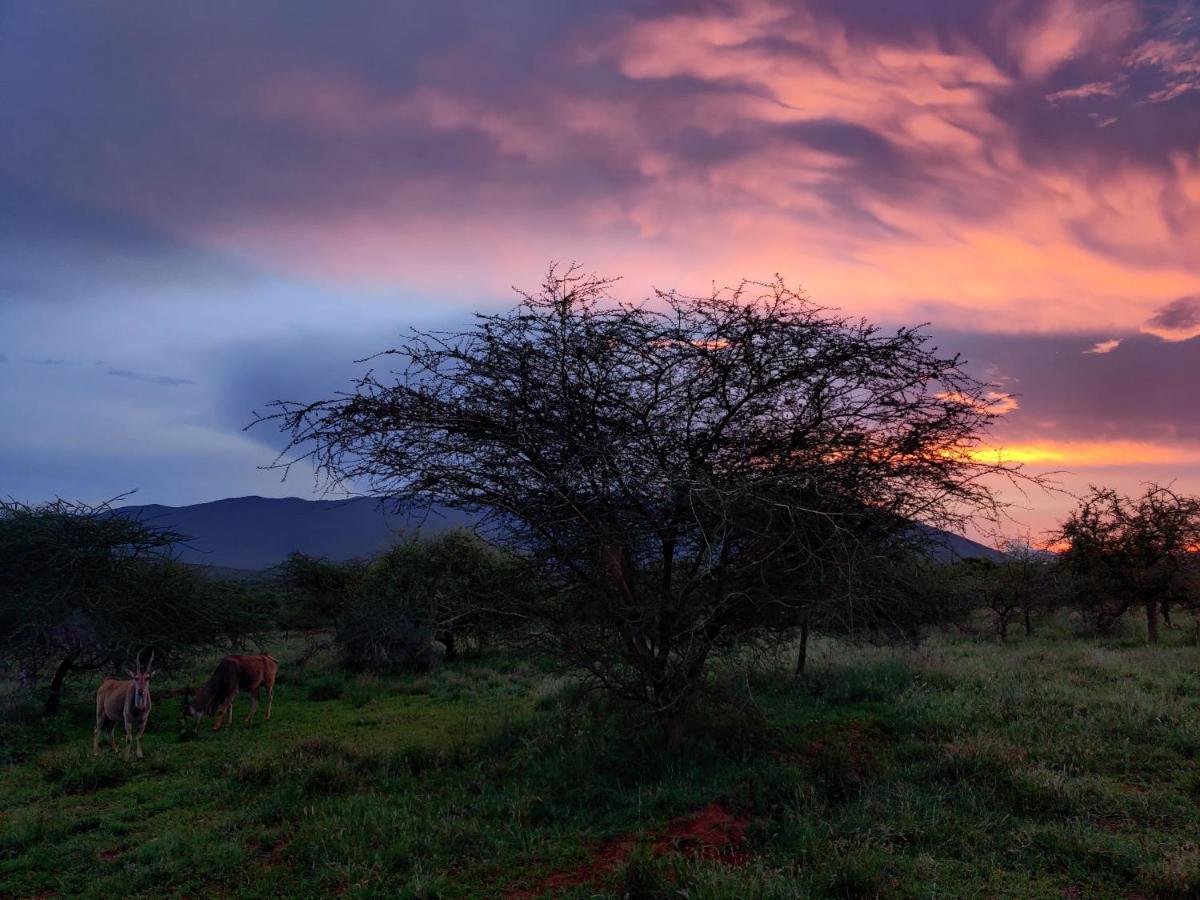 Oldonyo Orok Lodge Kajiado Ngoại thất bức ảnh
